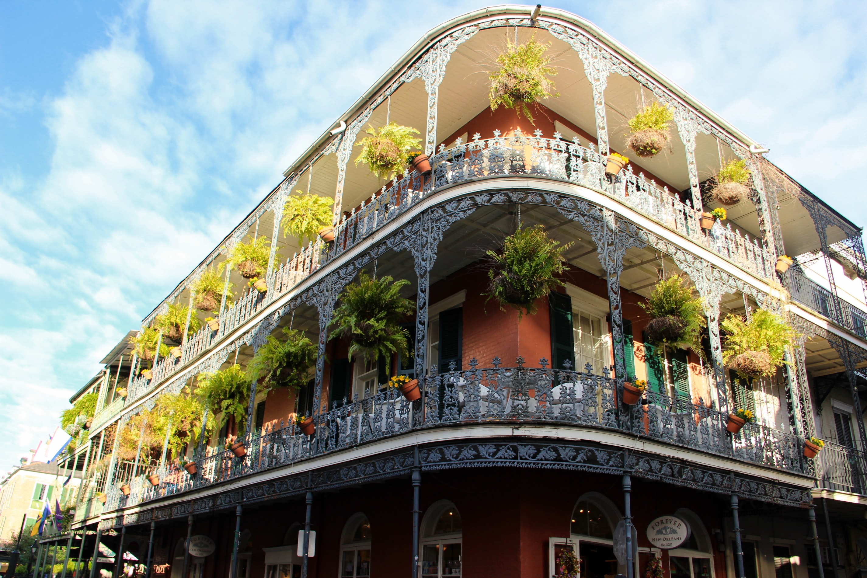 The Energy of New Orleans, Anywhere in the World