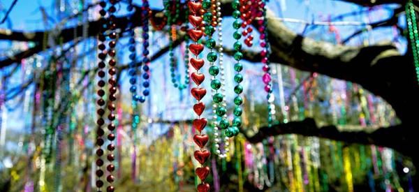 Mardi Gras Beads hang from a tree.