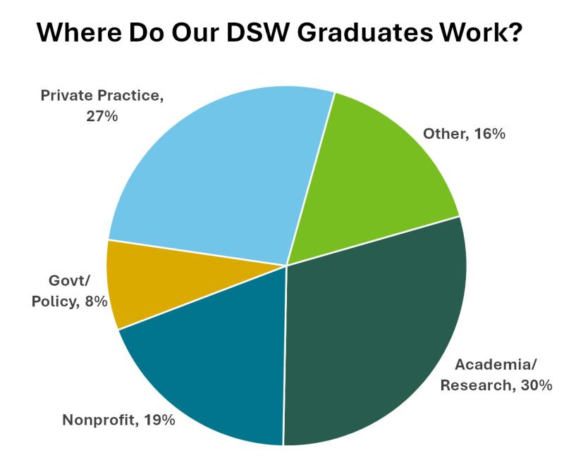 A breakdown of where our DSW graduates go on to work. The largest area is academia, at 30%.