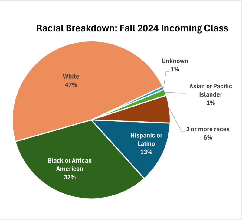A pie chart showing the breakdown of our students' racial demographics.