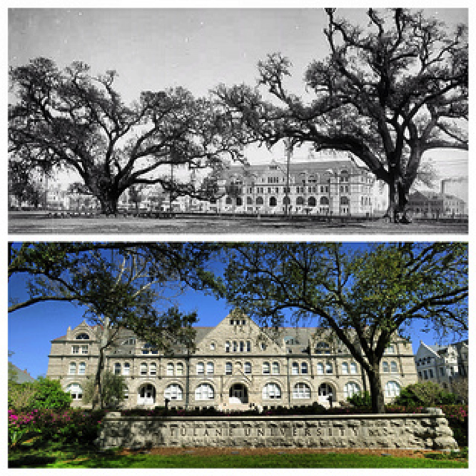 Tulane University then and now
