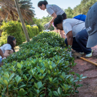 Disaster Resilience Leadership Students volunteer in a community garden.